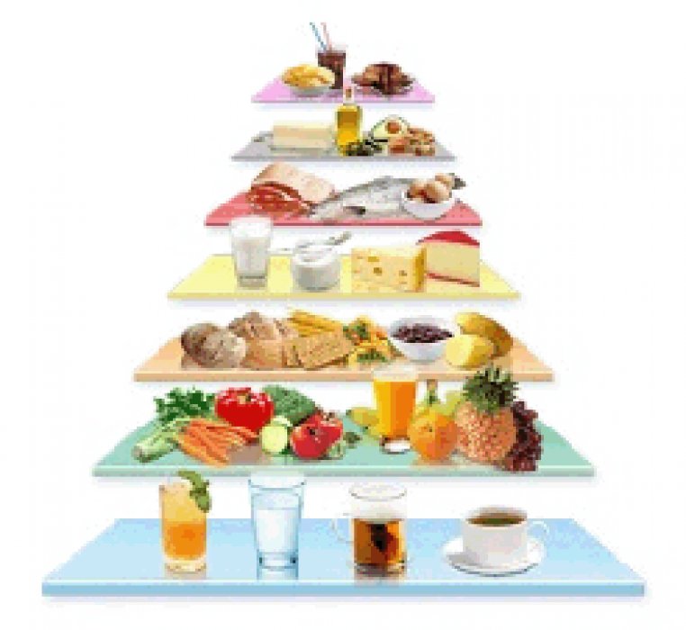 pyramide des besoins alimentaires