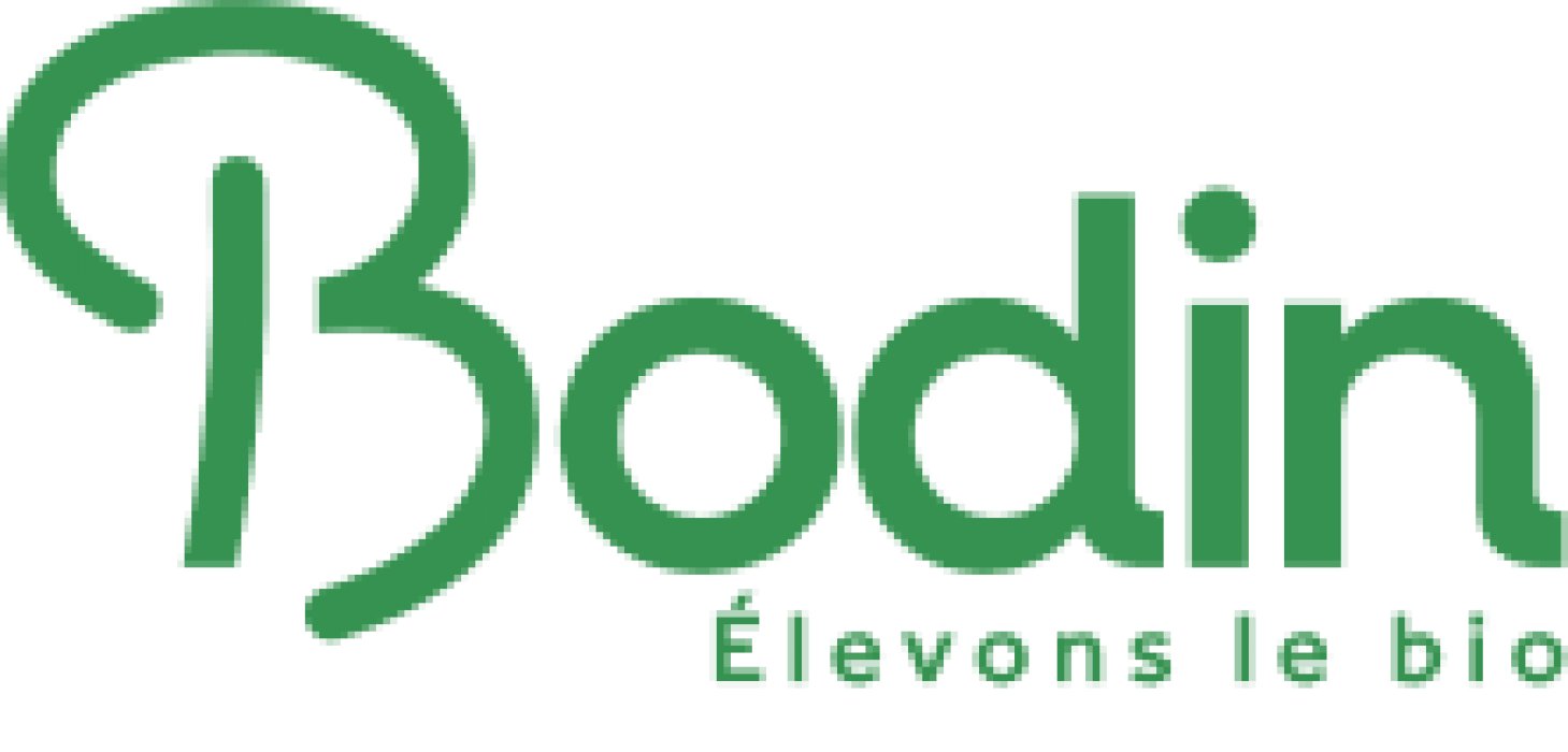 Bodin